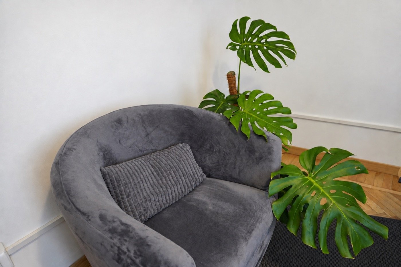 Studio di psicologia in Via Cavallermaggiore 10 a Torino
